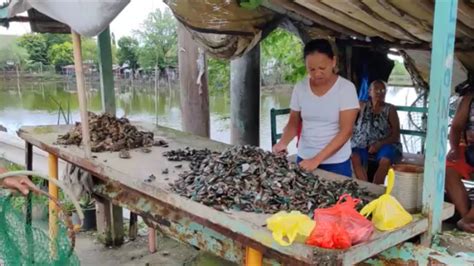 stl bataan today|Tahong chips are back: Cavite shellfish ban lifted after .